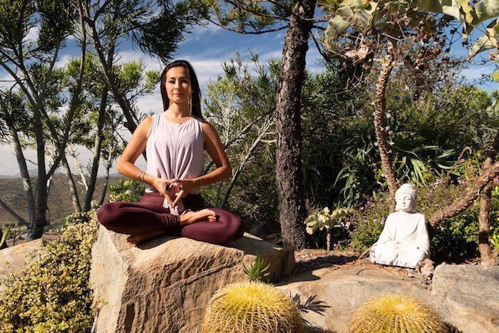 dr jenelle kim living meditation